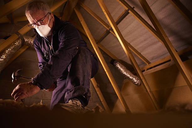 Best Types of Insulation in Helena Flats, MT